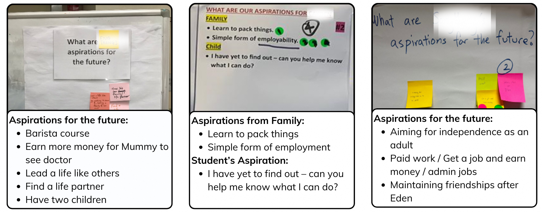 Aspirations (Redacted)